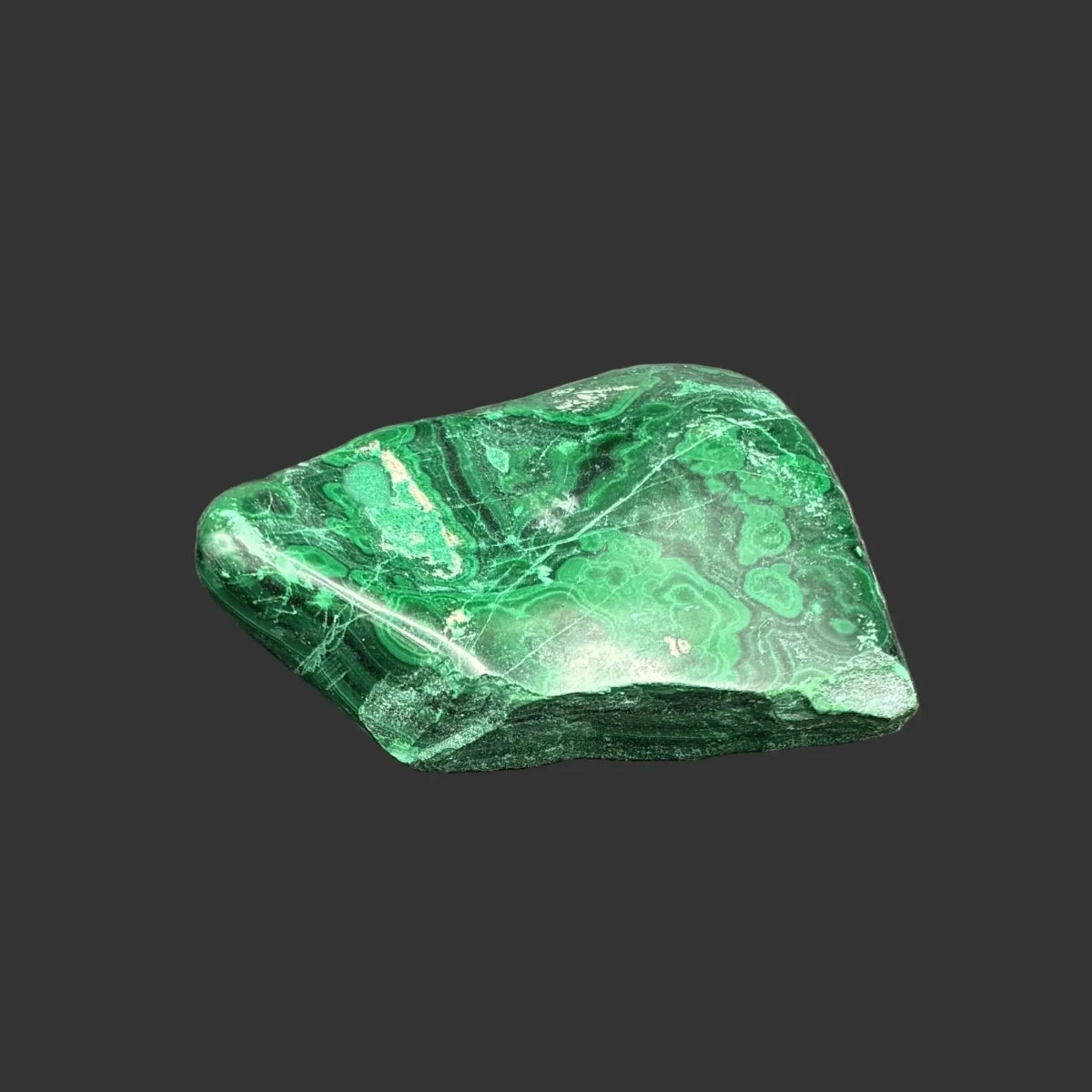 Front side of this polished green Malachite specimen, in front of a black background.