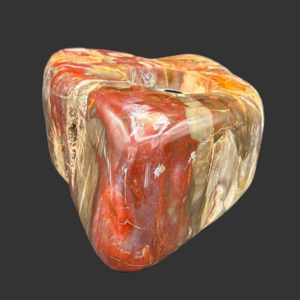This is the right side of this polished petrified wood candle holder, in front of a black background.