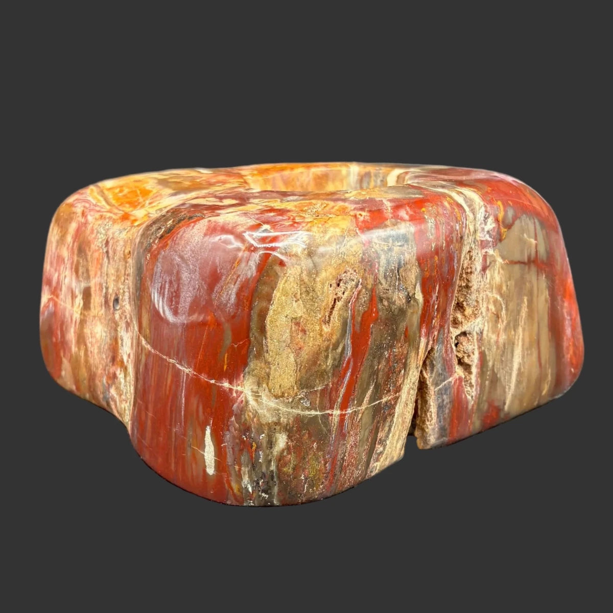 Back side of this polished petrified wood candle holder, in front of a black background.