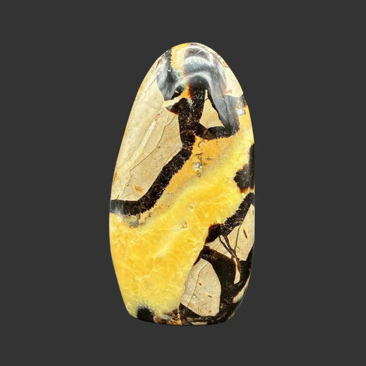 Front side of this polished Septarian freeform in front of a black background.