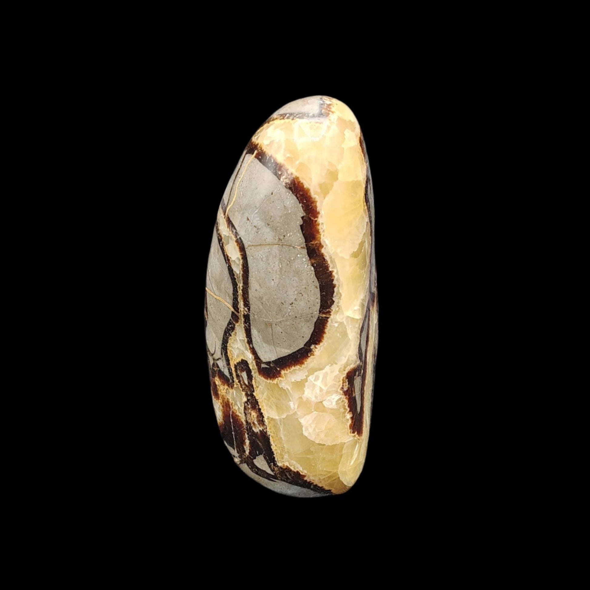 This is the left side of this Septarian piece