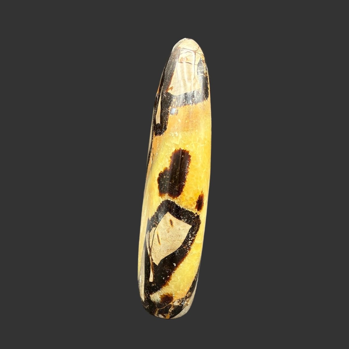 Side view of this polished Septarian freeform in front of a black background.