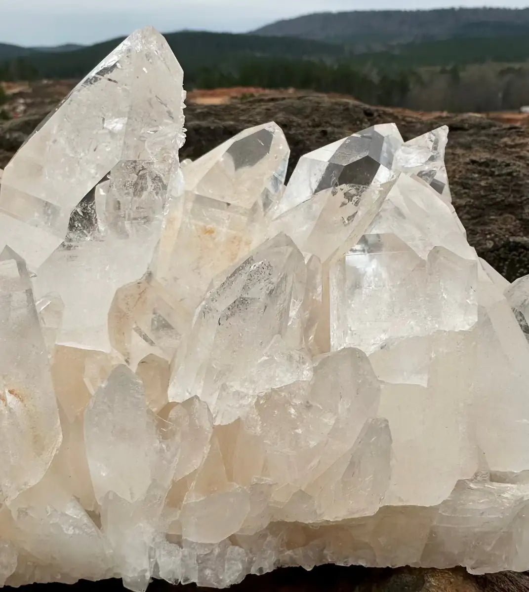 Quartz Crystal Cluster Ron Coleman Mining