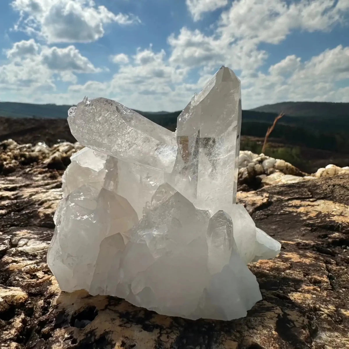 View Of Largest Crystal Point Within A Crystal Cluster