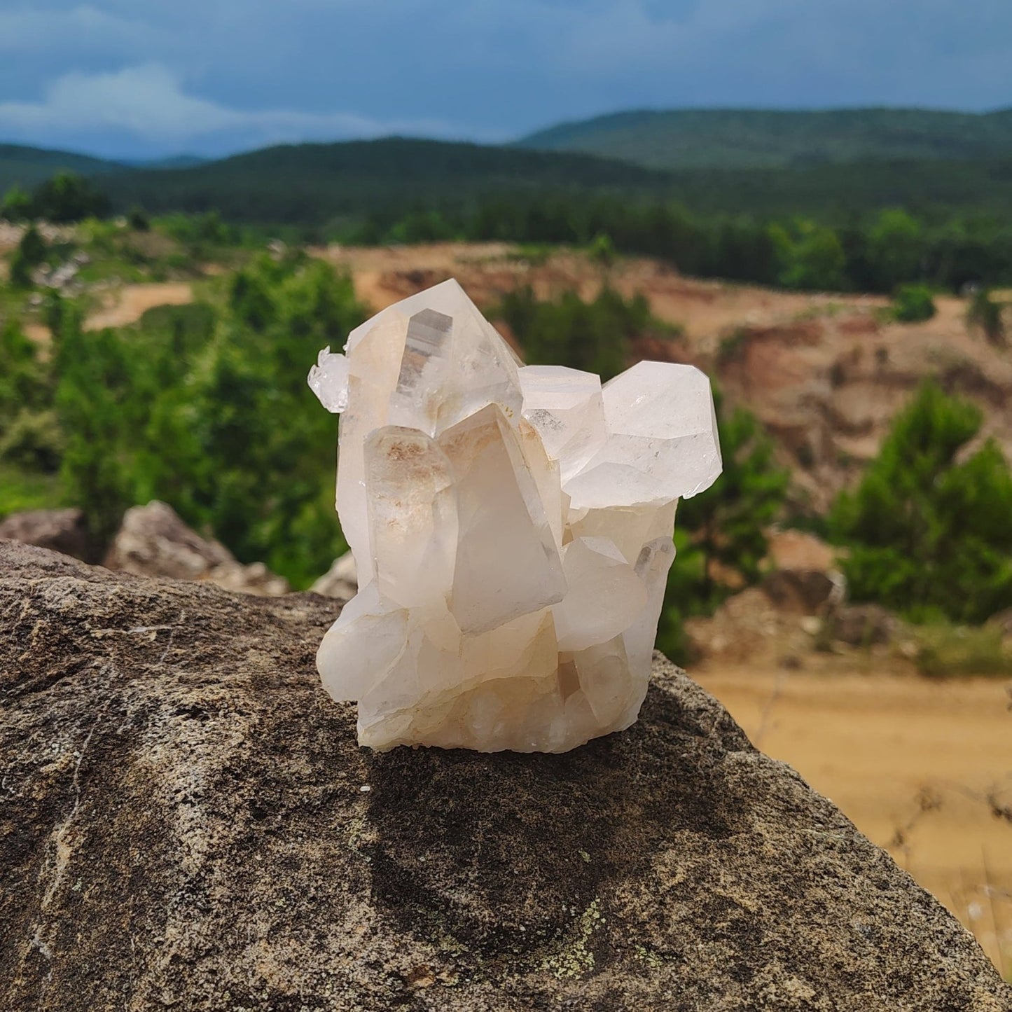 This is the left side of this quartz cluster sitting on a boulder with trees in background