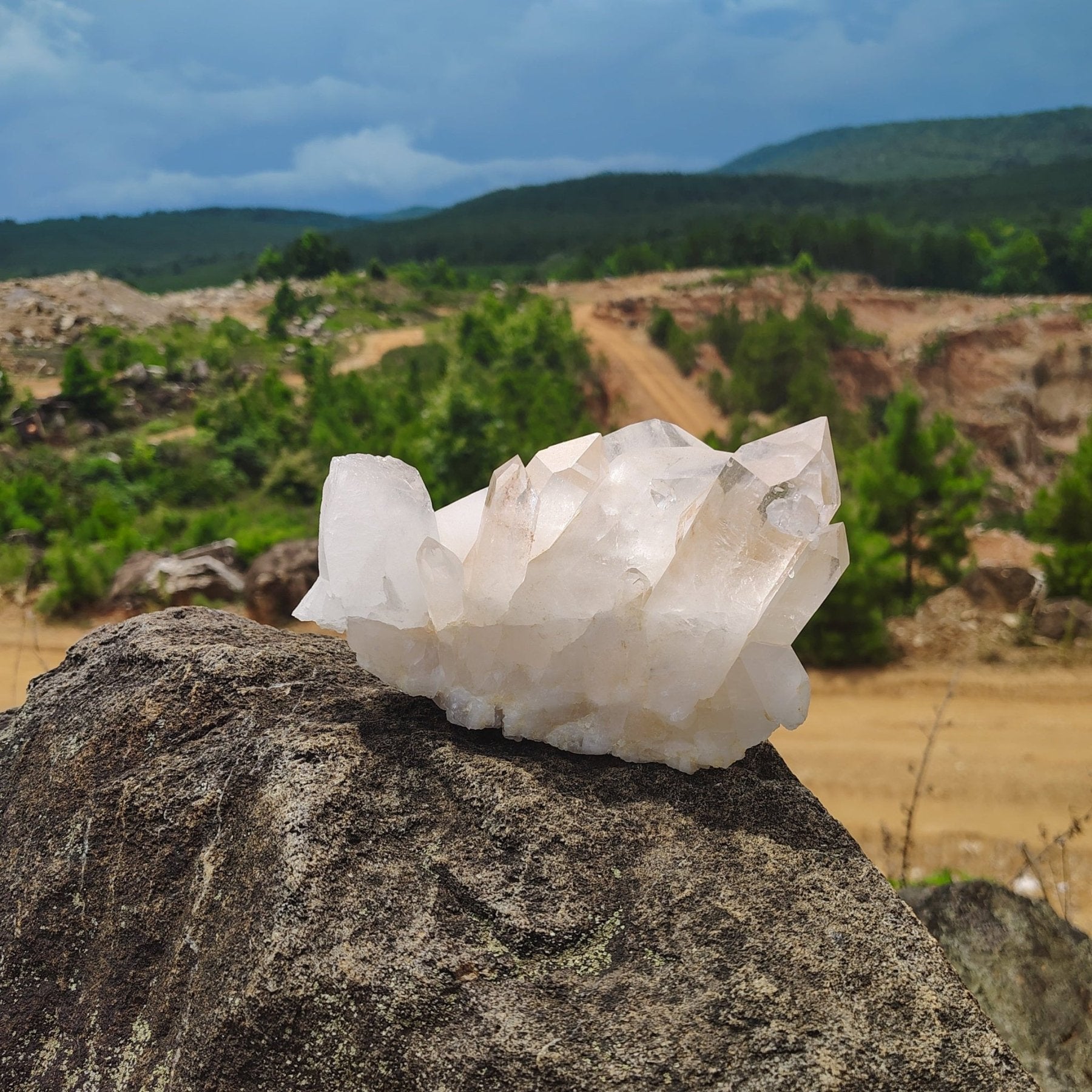 This is the front side of this quartz cluster sitting on a boulder with trees in background