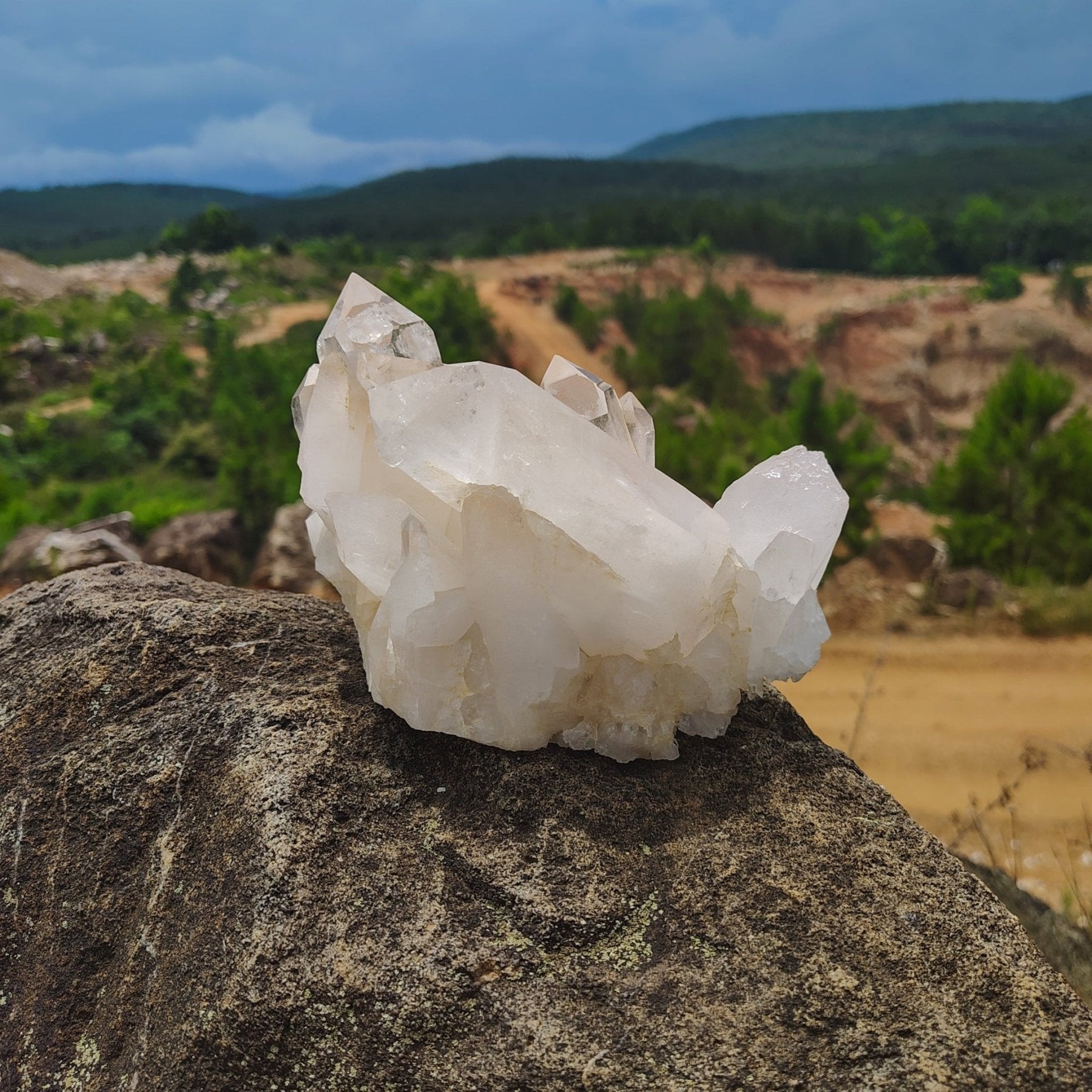 This is the back side of this quartz cluster sitting on a boulder with trees in the background