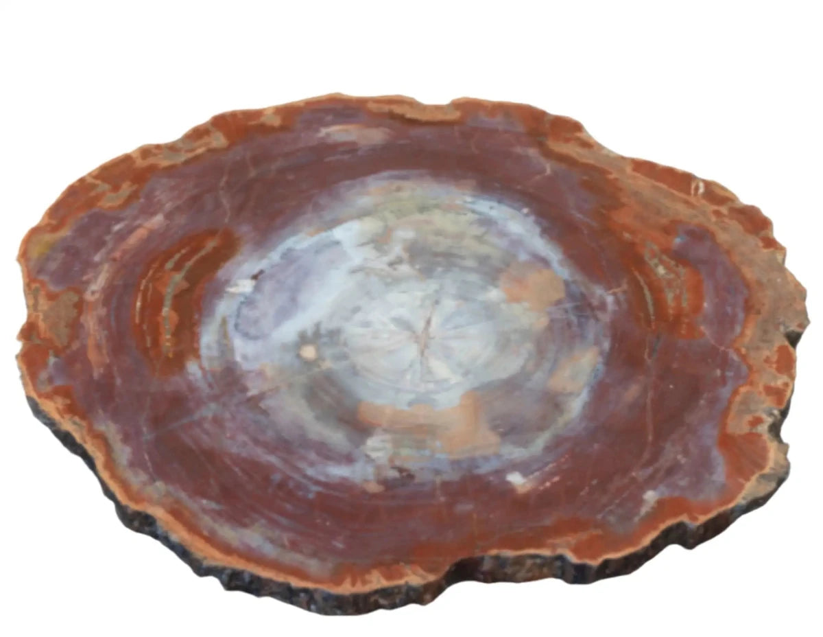 Close Up Of A Polished Arizona Red Wood Slab