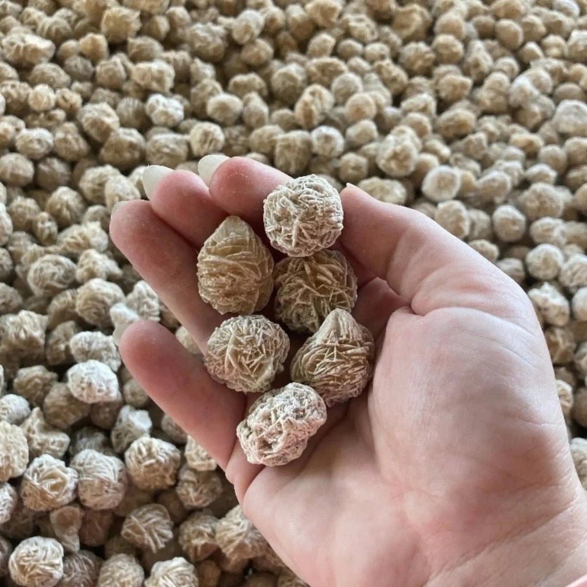 Hand holding Desert Rose Rock Sand Selenite above a table full of  Sand Selenite