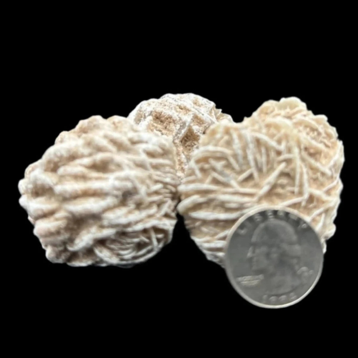Two Sand Selenite Rocks