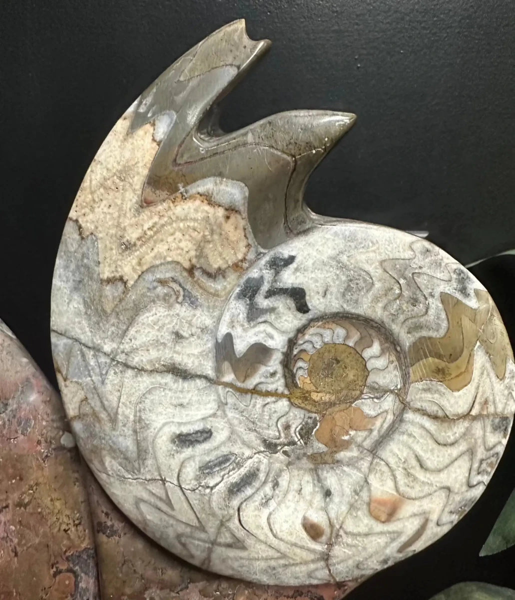 Right Side Of Mollusk & Ammonite Mineral Carved Sculpture