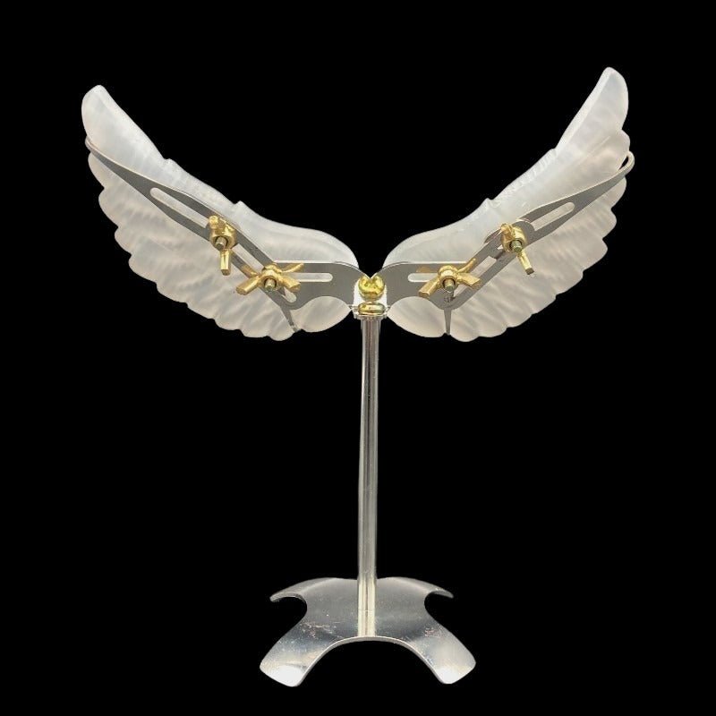 Back Side Of Angel Wings On Stand