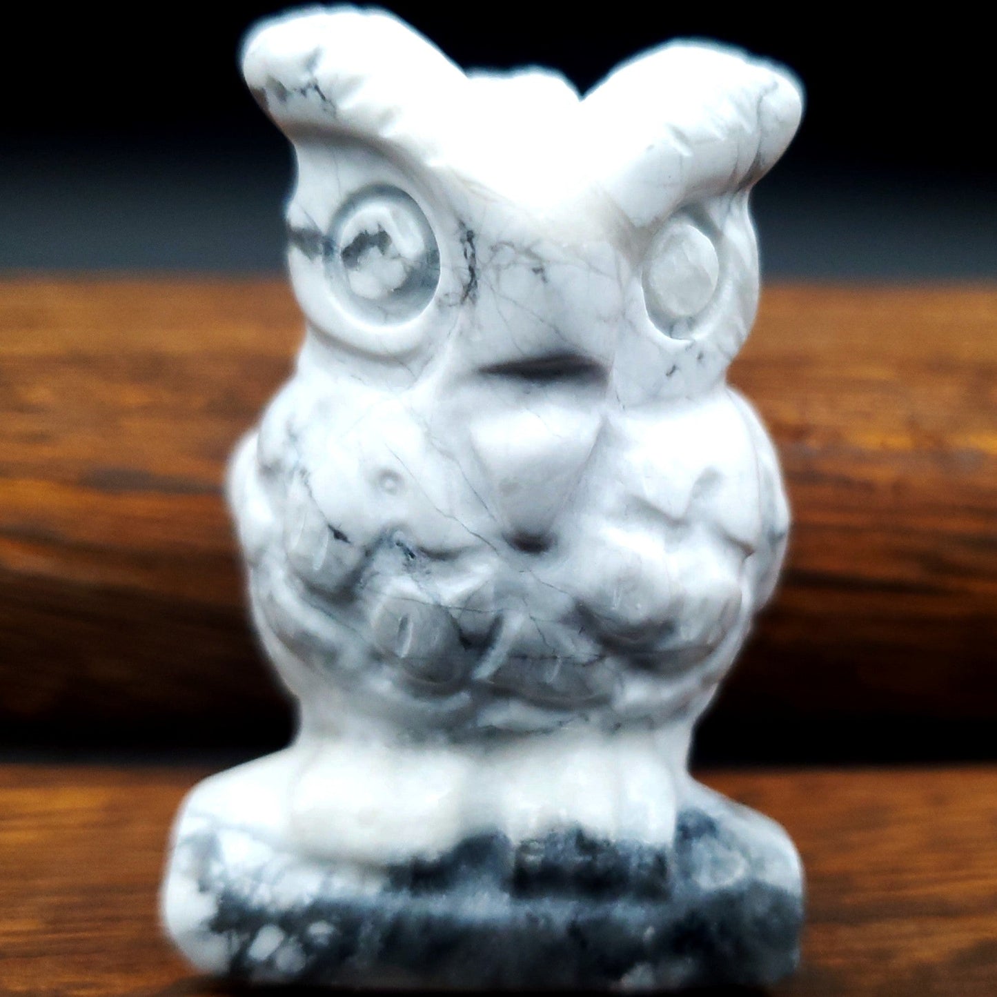 Carved Owl Howlite