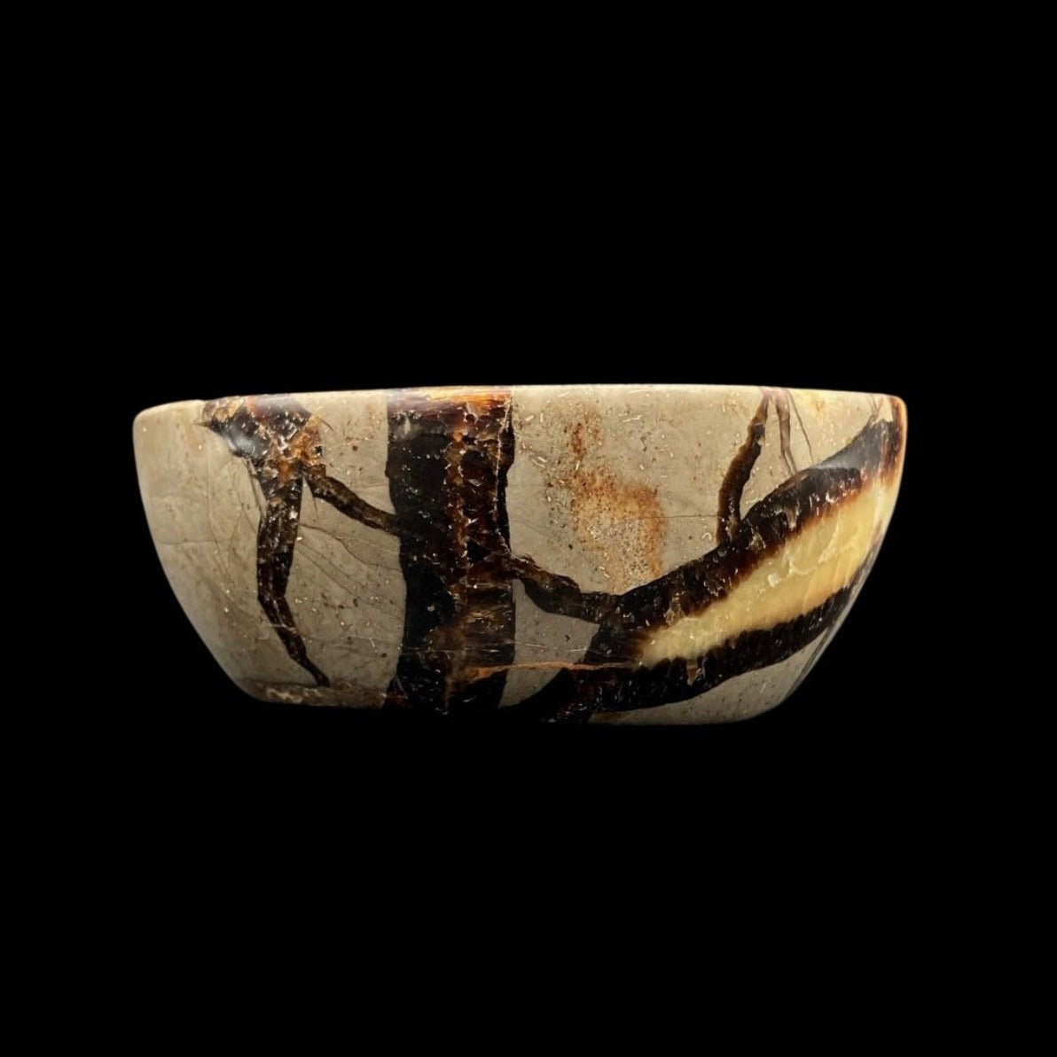 Side View Of Septarian Bowl