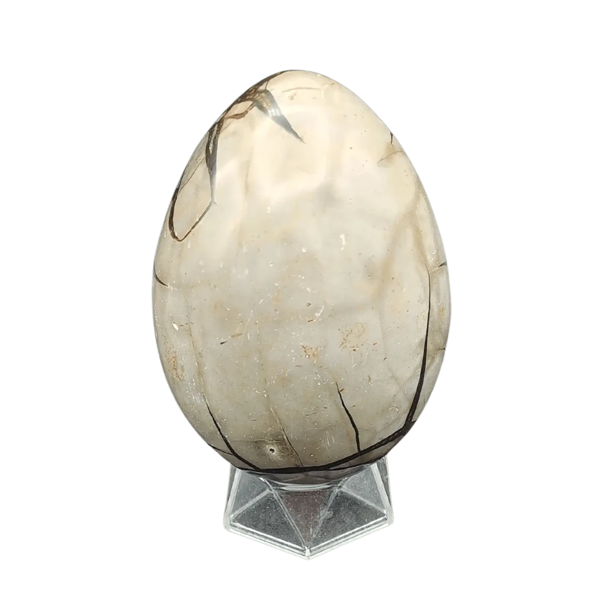 This is the back side of this Septarian dragon egg