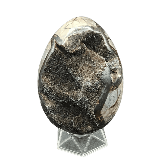 This is the front side of this Septarian dragon egg