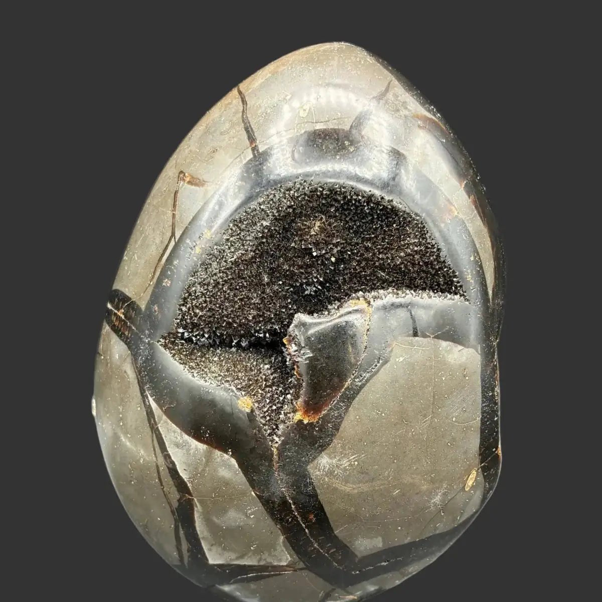 Side view of this Septarian dragon egg in front of a black background.