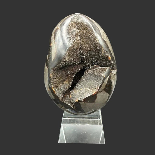 Front side of this Septarian dragon egg in front of a black background.