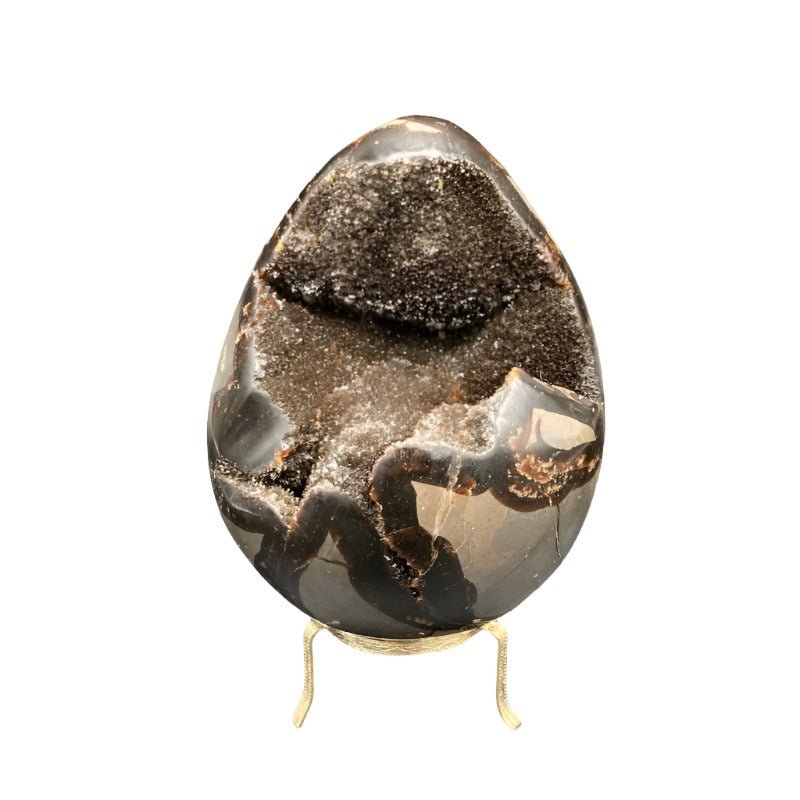 Front Side Of Septarian Druzy Egg Septarian Dragon Egg With Druzy Crystals, Taupe Black And Chocolate Brown In Color With Crystals 