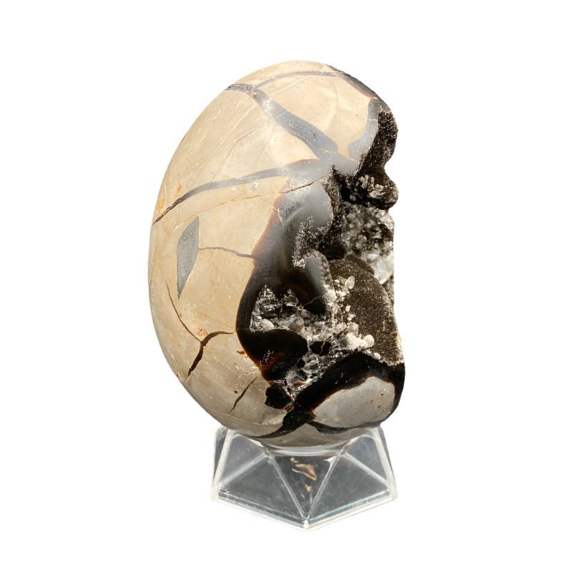 Right Side Of Septarian Egg With Druzy And Quartz, Taupe Black Druzy And Clear Quartz