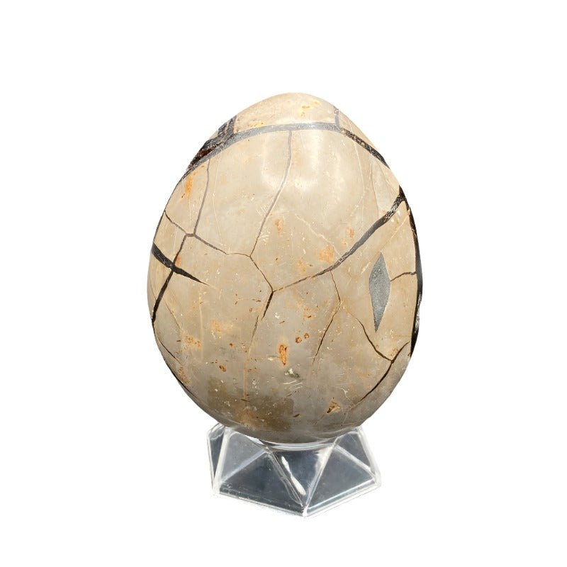 Back Side Of Septarian Egg, Patterns Of The Colors Taupe And Black