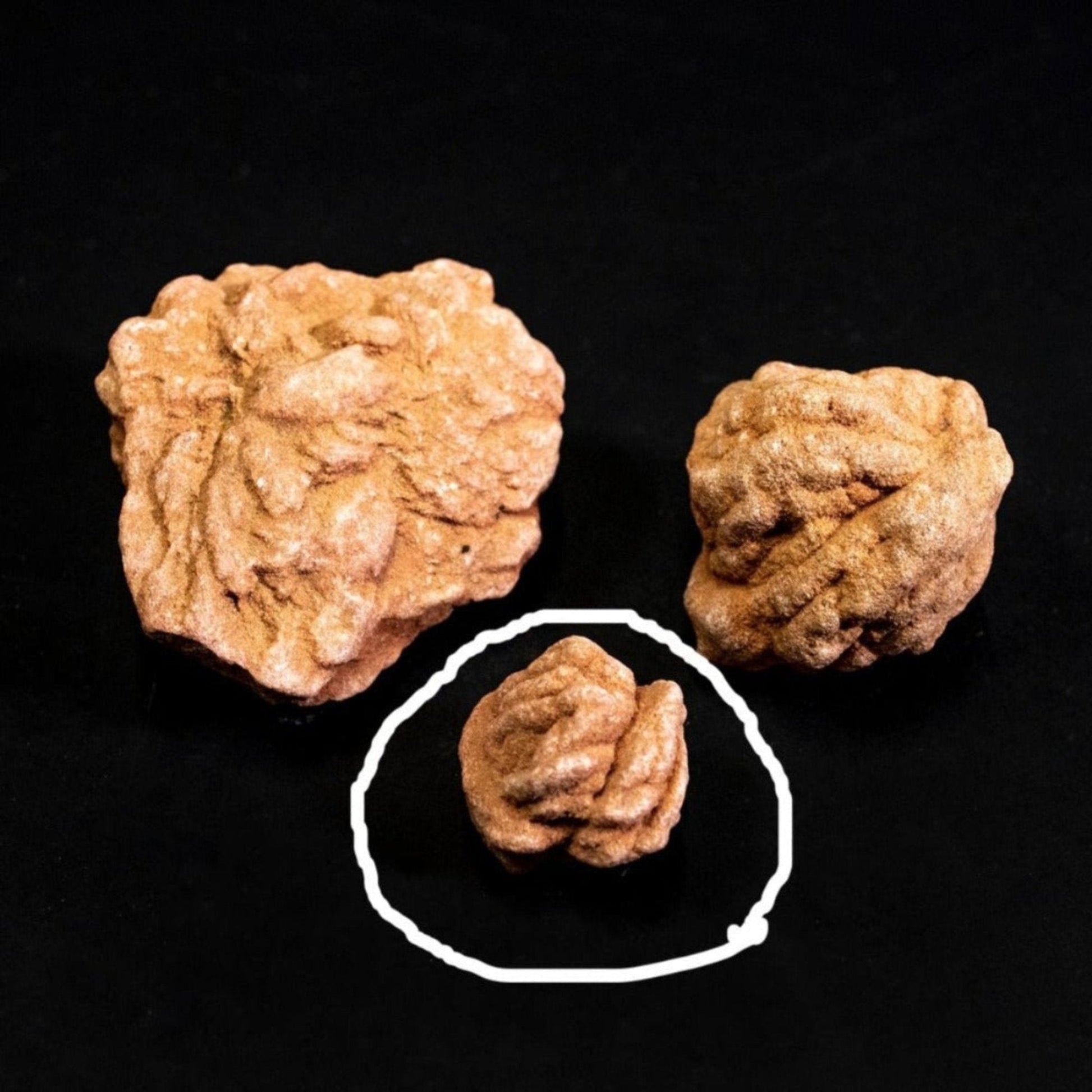 Large Medium And Small Barite Rose