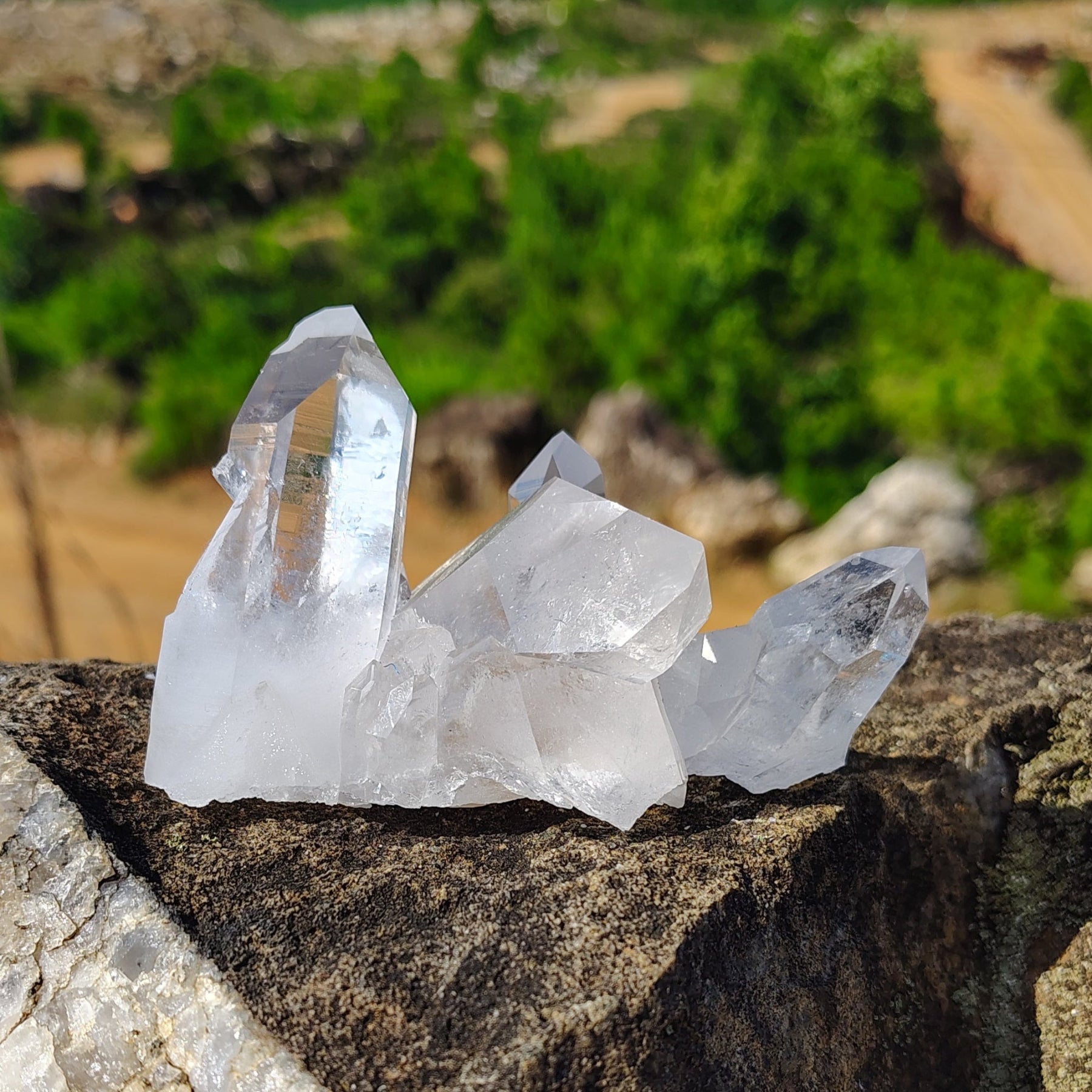Small Raw Water Clear Quartz Cluster – Ron Coleman Mining