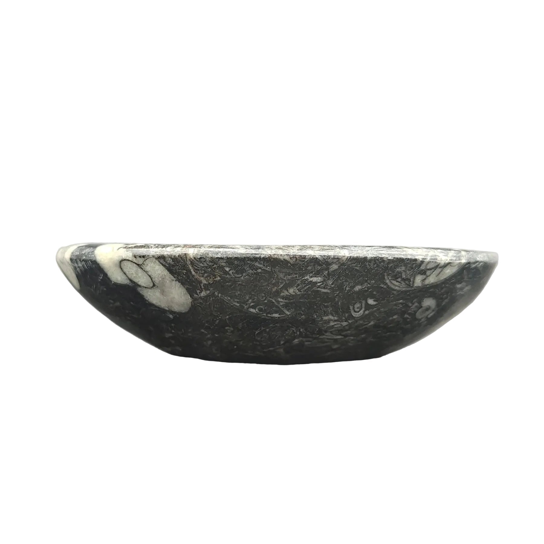 This is the sides view of this Ammonite fossil trinket bowl.