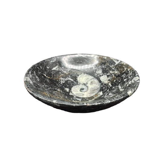 This is the small, polished ammonite trinket bowl that you will receive with your purchase.