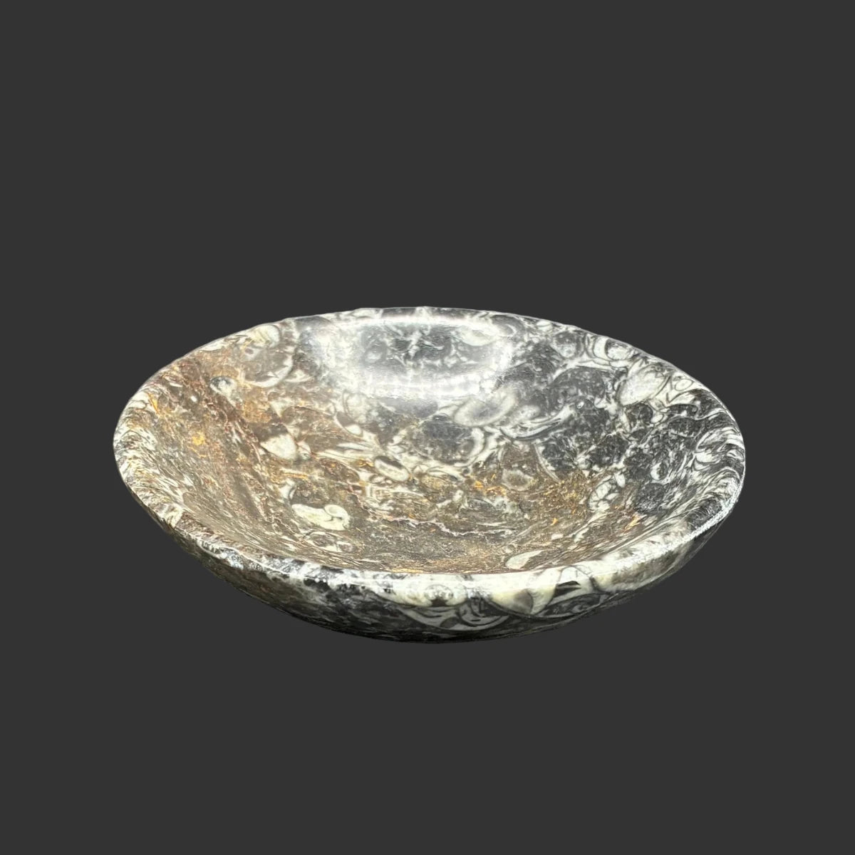 Side view of this fossil trinket bowl, in front of a black background.