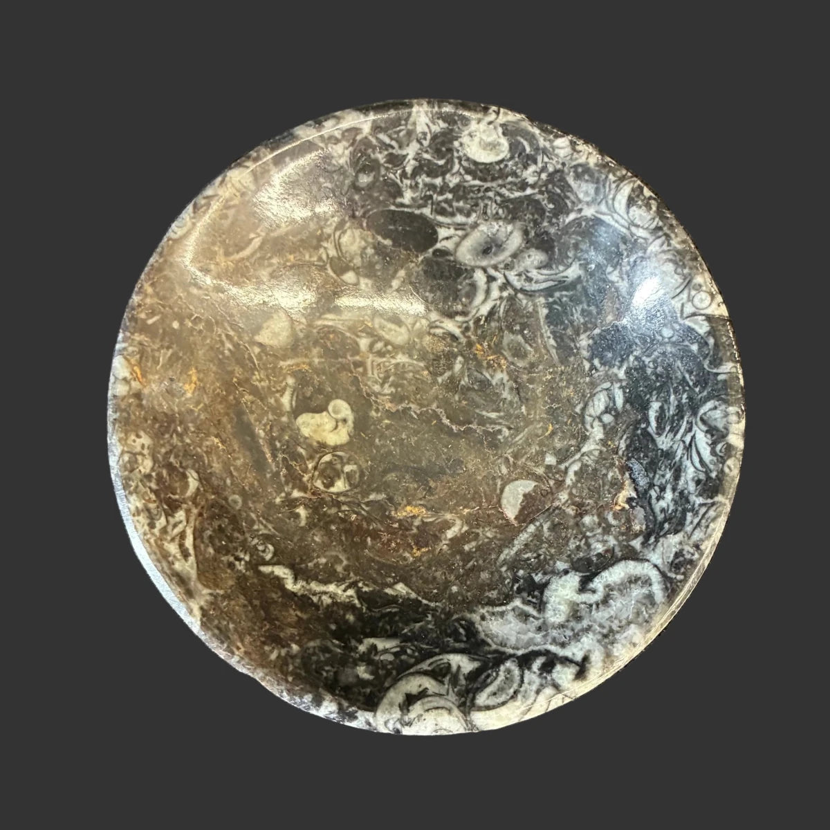 Top View of this fossil trinket bowl in front of a black background.