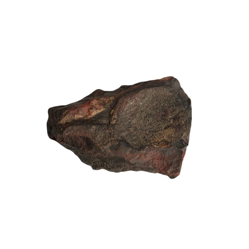 Bottom Side Of Small And Raw Hematite Specimen, Raw Brown And Rust Color