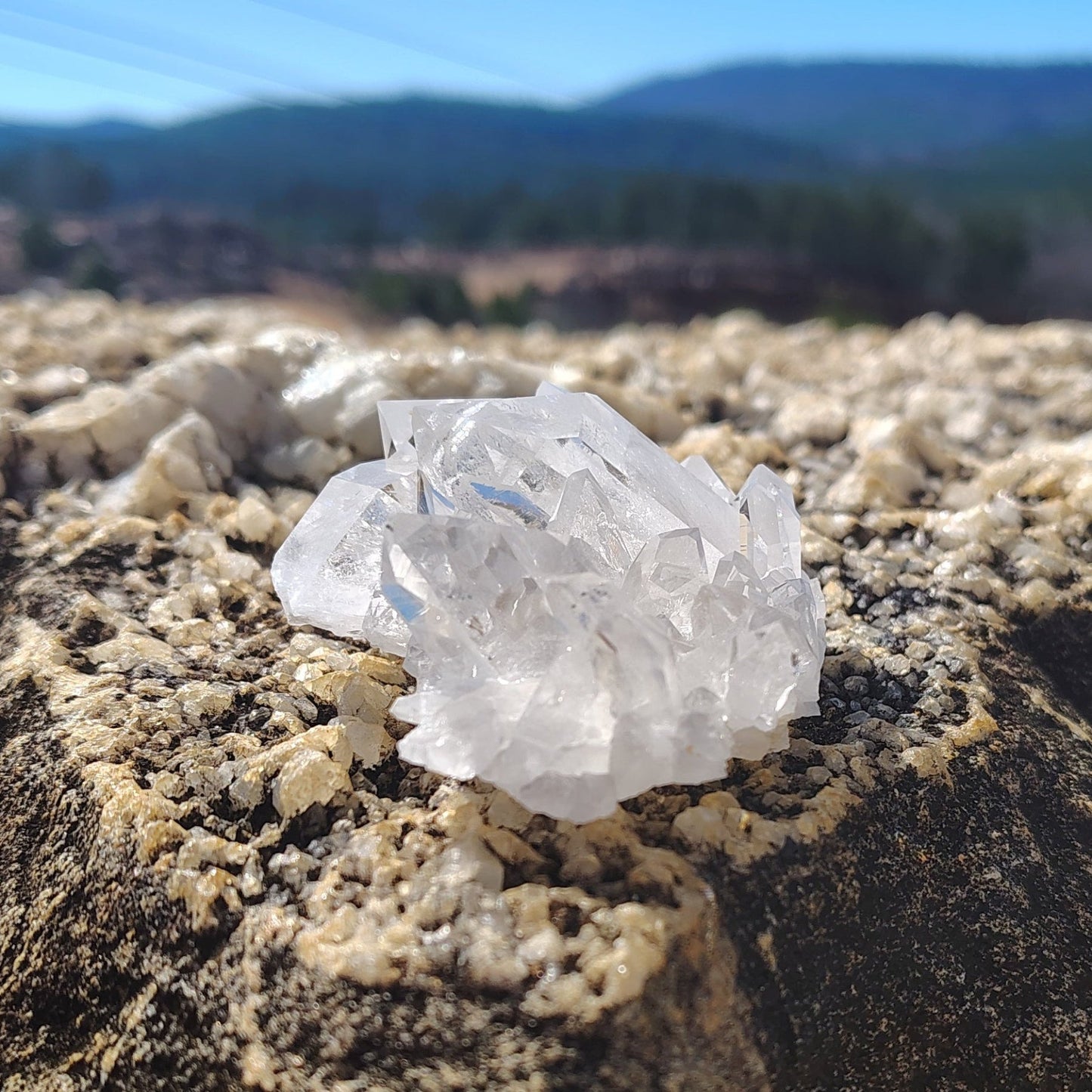 This is the left side of this small water clear Quartz cluster.