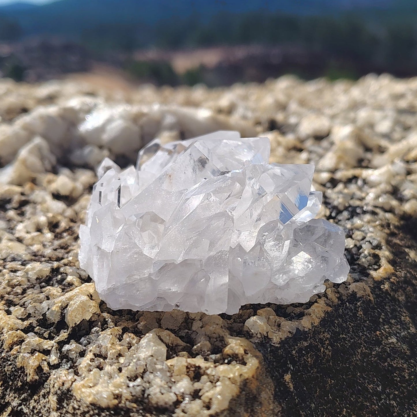 This is the back side of this small water clear Quartz crystal cluster.