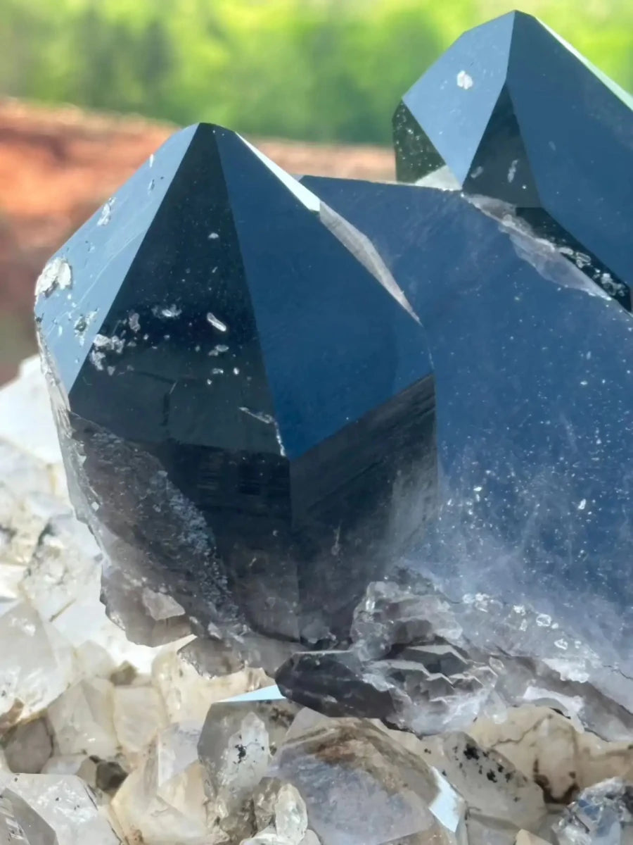 Heat-treated Smoky Quartz with Trees In Background