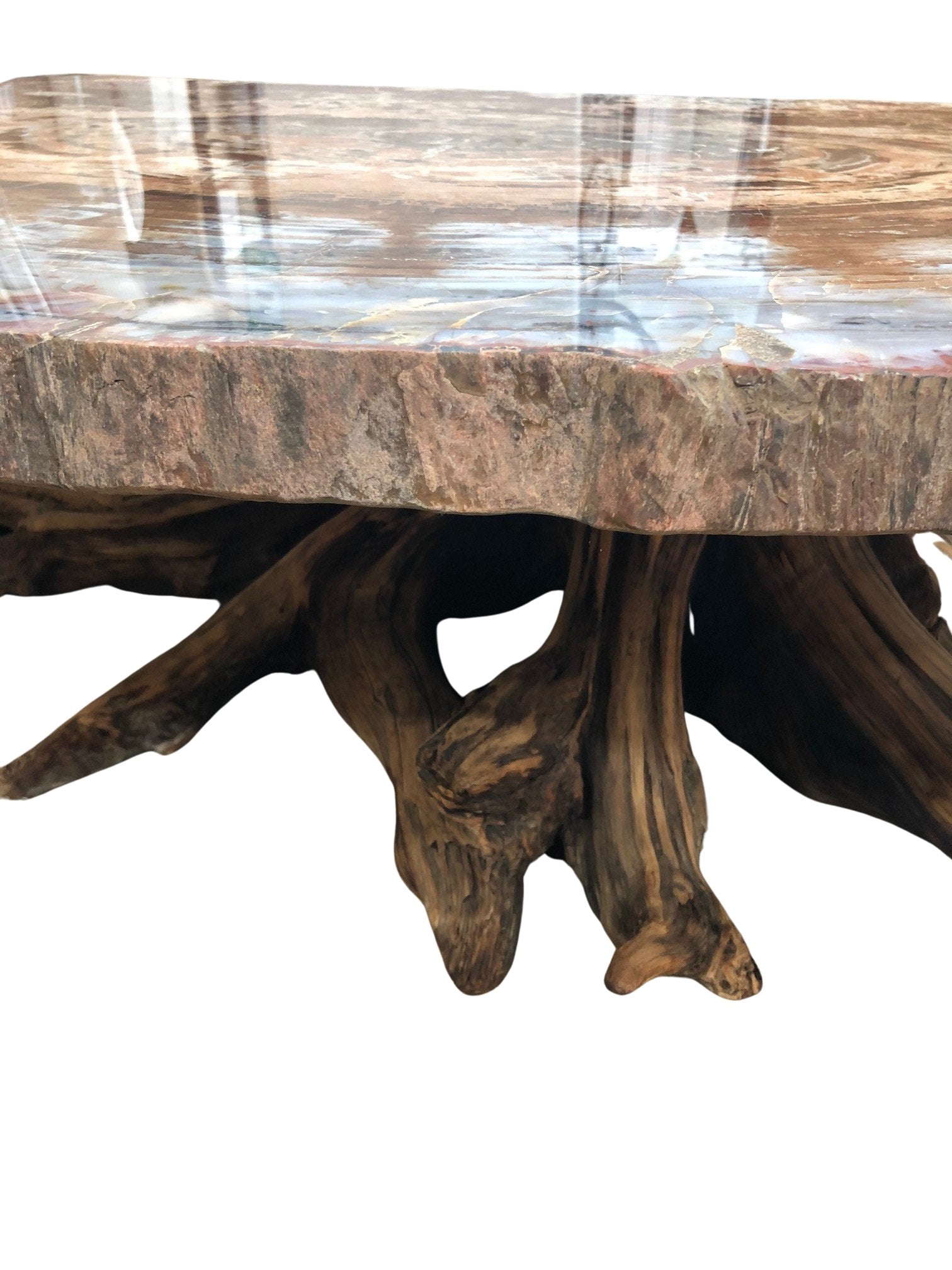 Image of rough wides on petrified wood table top and the driftwood table base