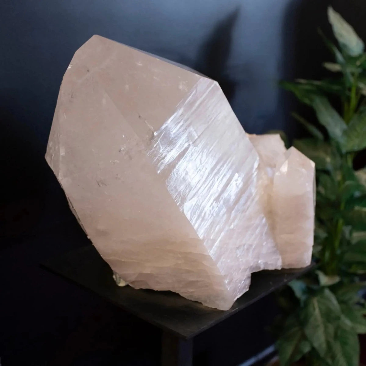 Side View Of 25 Inch Arkansas Tabular Quartz Crystal