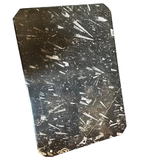 Fossil Tabletop at an angle