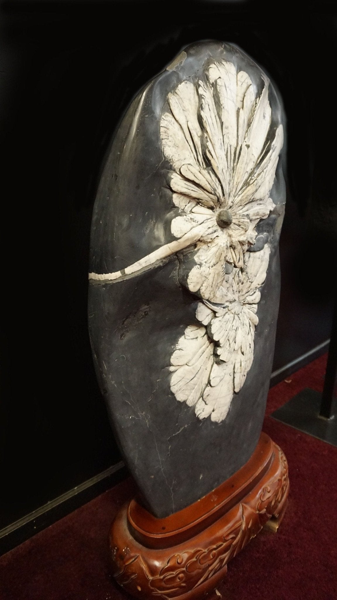 Side View Chrysanthemum Stone