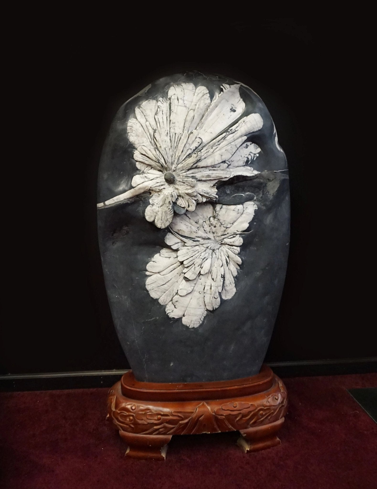 Black And White Flower Stone Chrysanthemum 