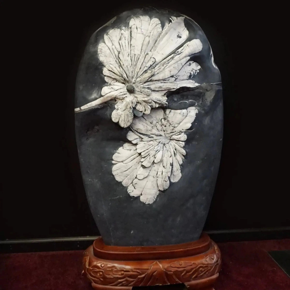 Black And White Flower Stone Chrysanthemum 