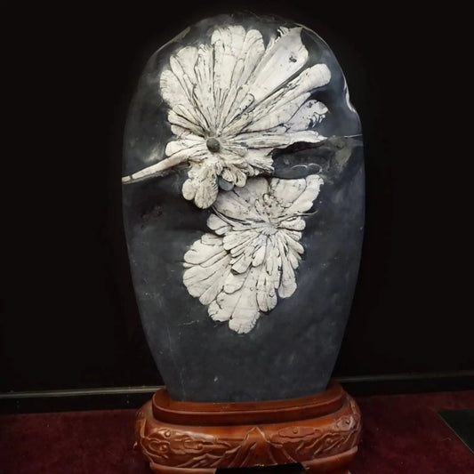 Black And White Flower Stone Chrysanthemum 