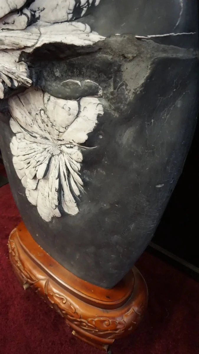 Close Up of Flowers On Chrysanthemum Stone 