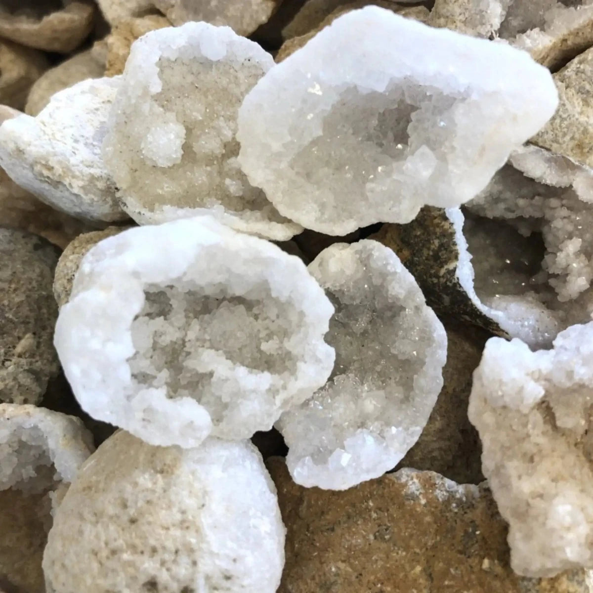 Close Up Small White Geode Halves