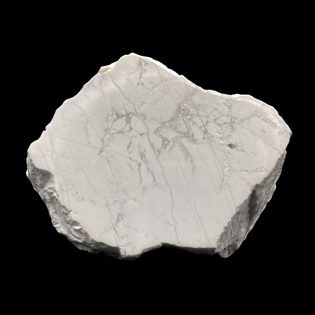 Howlite White Howlite Polished & Raw Specimen - Natural Gemstone
