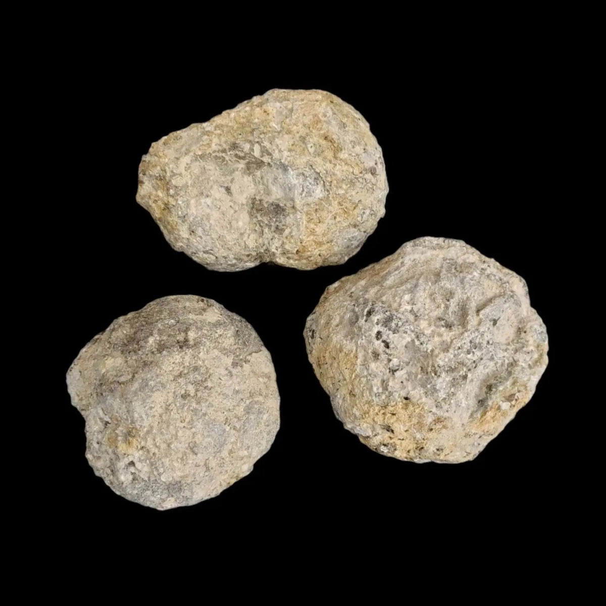 3- whole geode rocks