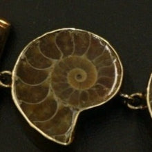 Load image into Gallery viewer, Unisex Ammonite Fossil Bracelet
