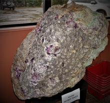 Load image into Gallery viewer, Back View Natural Fluorite Specimen 41 Inches Tall
