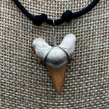 Load image into Gallery viewer, Close Up Of Sharktooth Pendant
