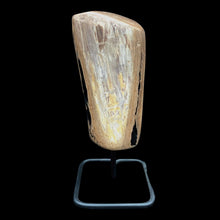 Load image into Gallery viewer, Front Side Of Petrified Wood On Stand
